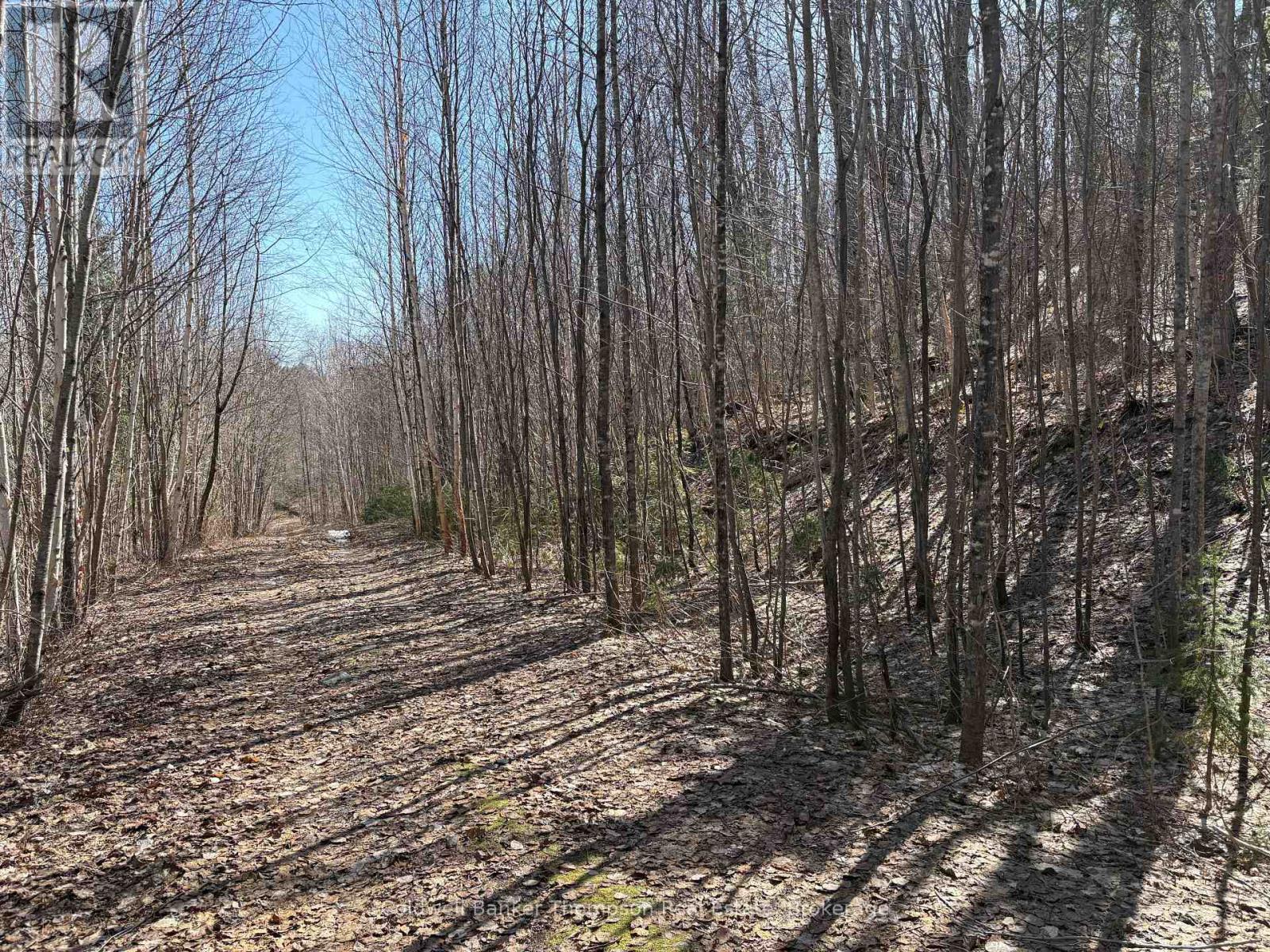 0 HAMILTON LAKE ROAD, Machar, Ontario