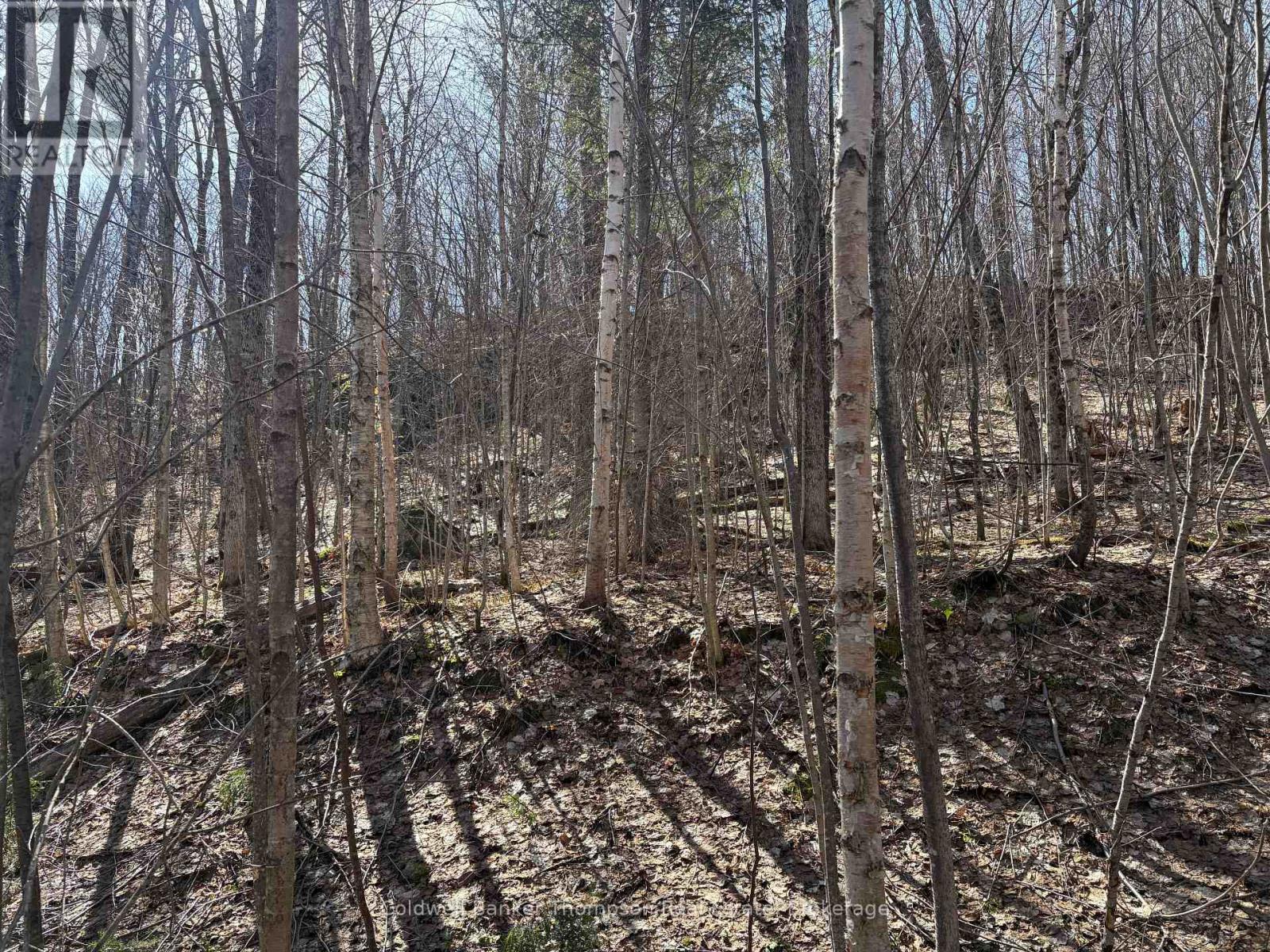 0 Hamilton Lake Road, Machar, Ontario  P0A 1X0 - Photo 2 - X13061354