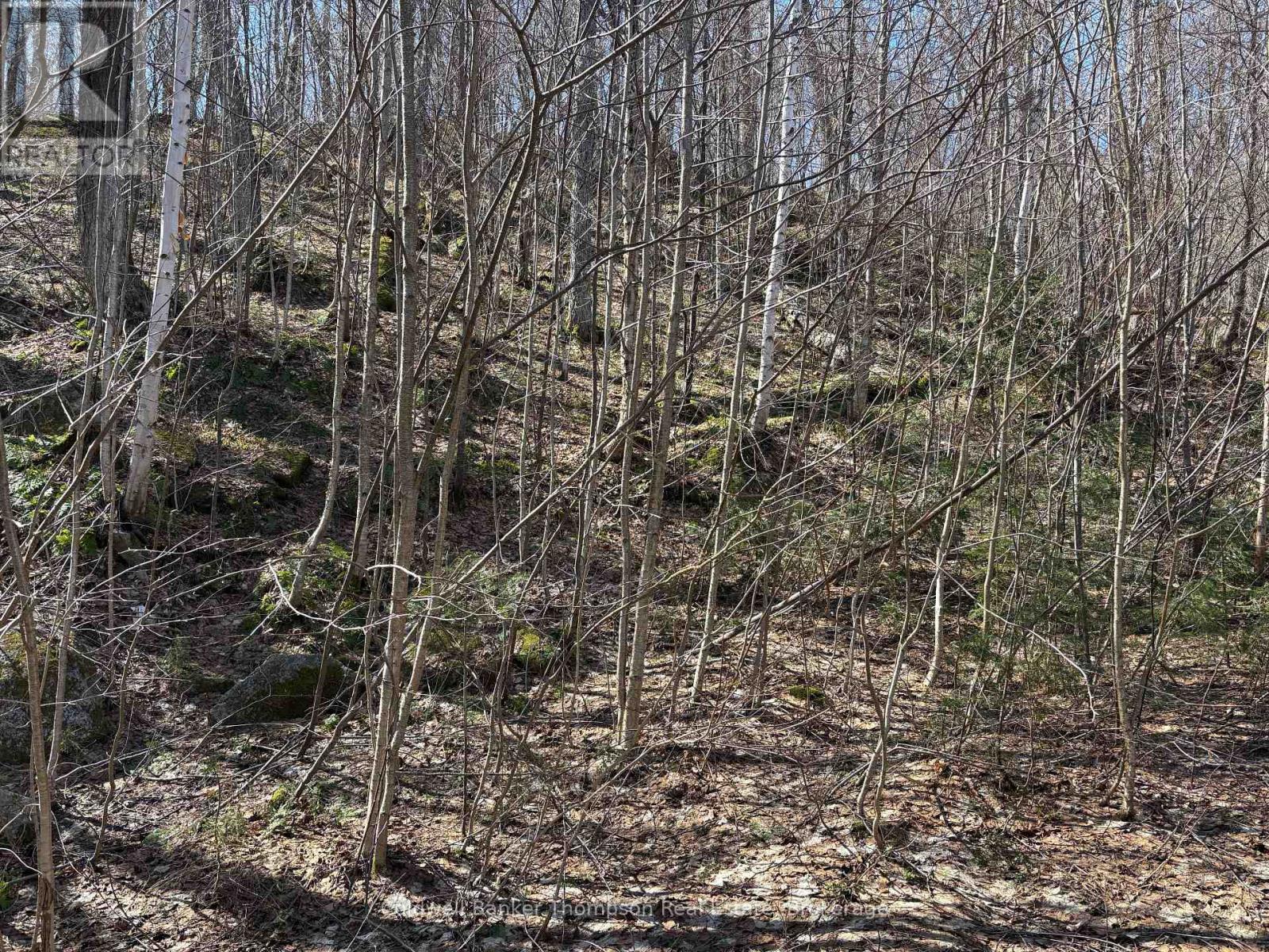 0 Hamilton Lake Road, Machar, Ontario  P0A 1X0 - Photo 3 - X13061354