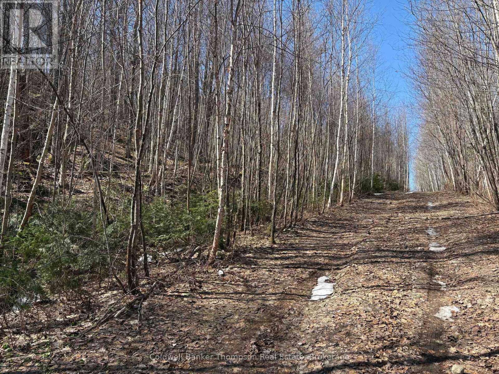 0 Hamilton Lake Road, Machar, Ontario  P0A 1X0 - Photo 4 - X13061354