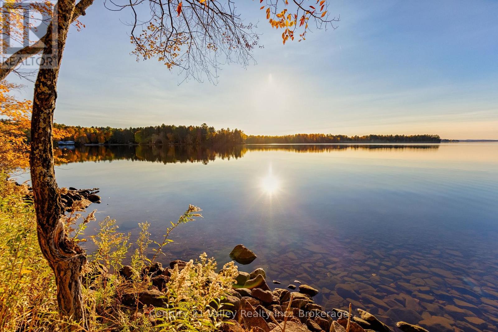 0 Richards Lane, Bonnechere Valley, Ontario  K0J 2A0 - Photo 19 - X13061412