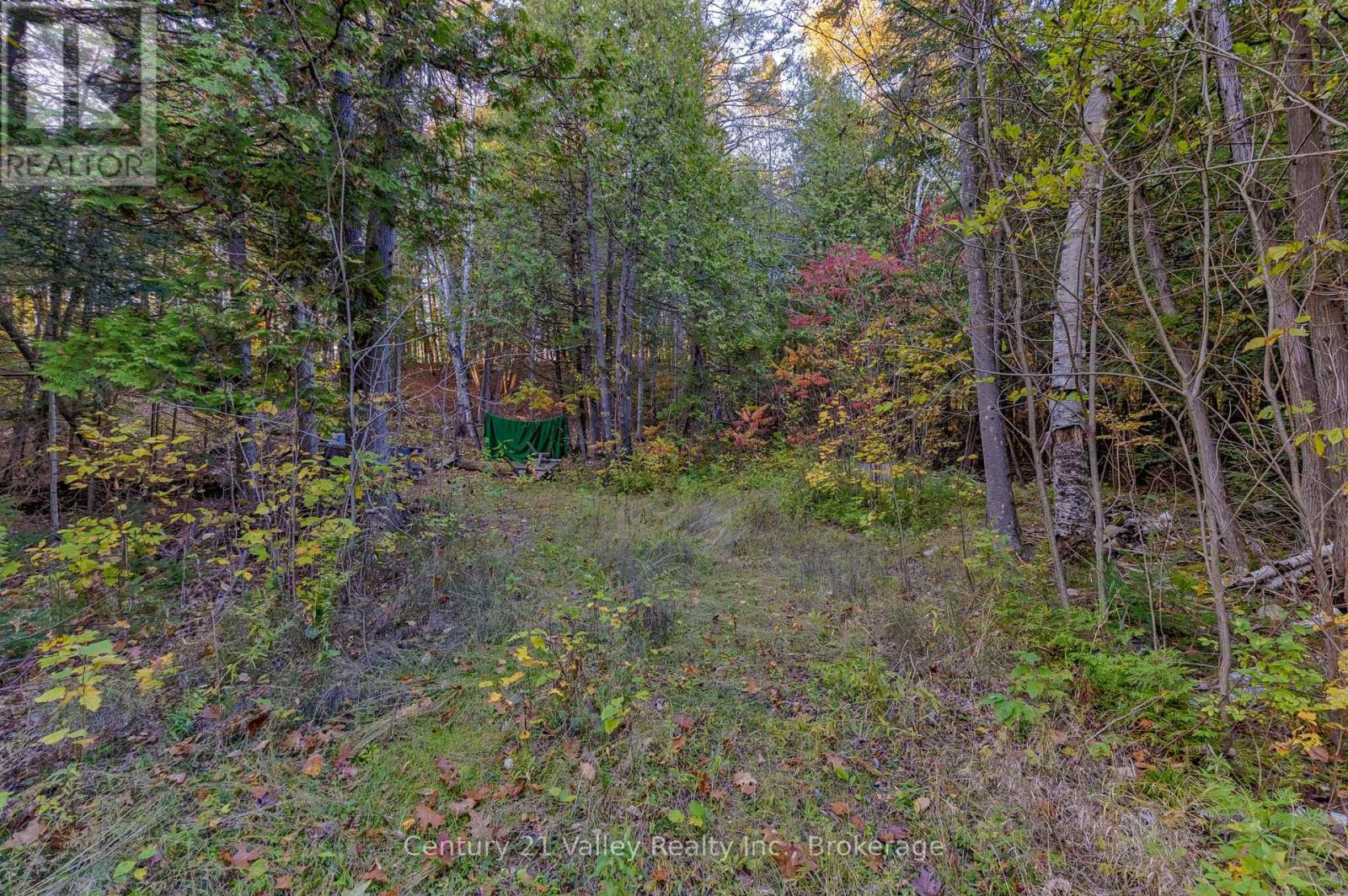0 Richards Lane, Bonnechere Valley, Ontario  K0J 2A0 - Photo 22 - X13061412