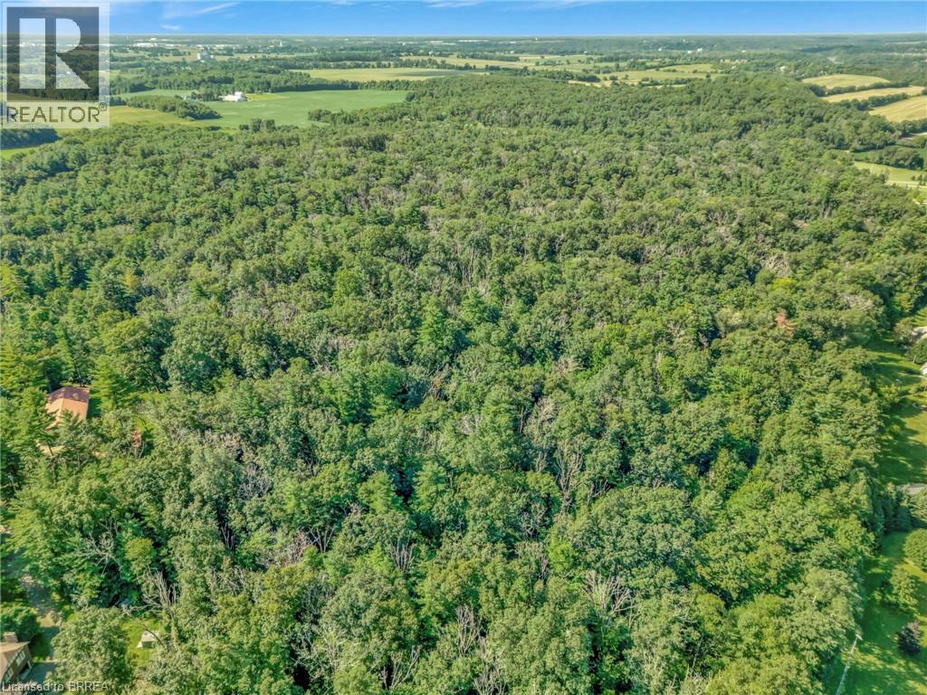 169 Clarke Road, Paris, Ontario  N3L 3E1 - Photo 2 - 40825283
