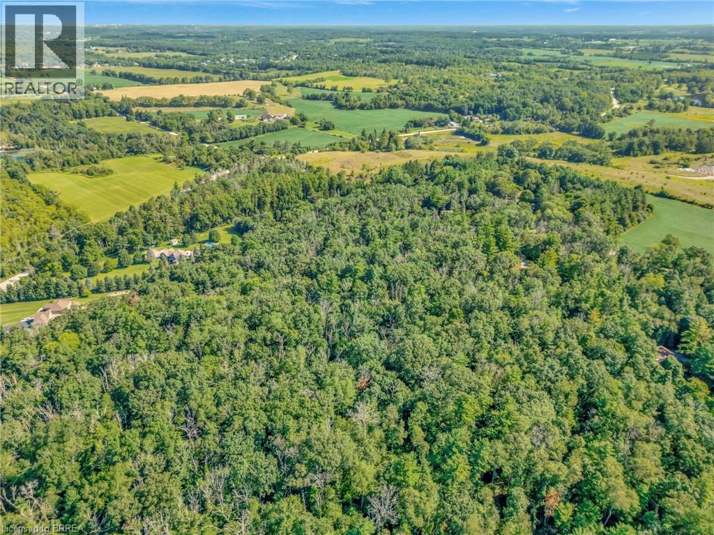 169 Clarke Road, Paris, Ontario  N3L 3E1 - Photo 4 - 40825283