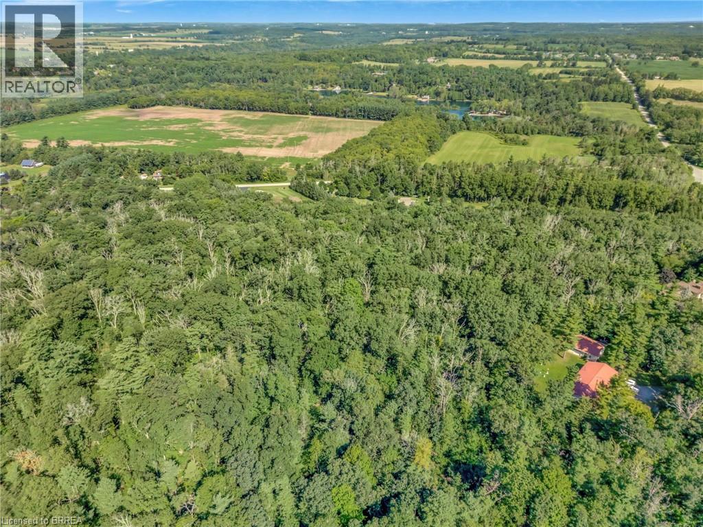 169 Clarke Road, Paris, Ontario  N3L 3E1 - Photo 5 - 40825283