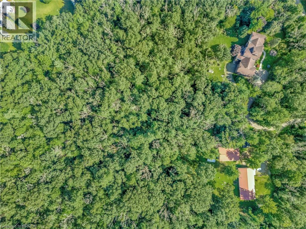 169 Clarke Road, Paris, Ontario  N3L 3E1 - Photo 6 - 40825283