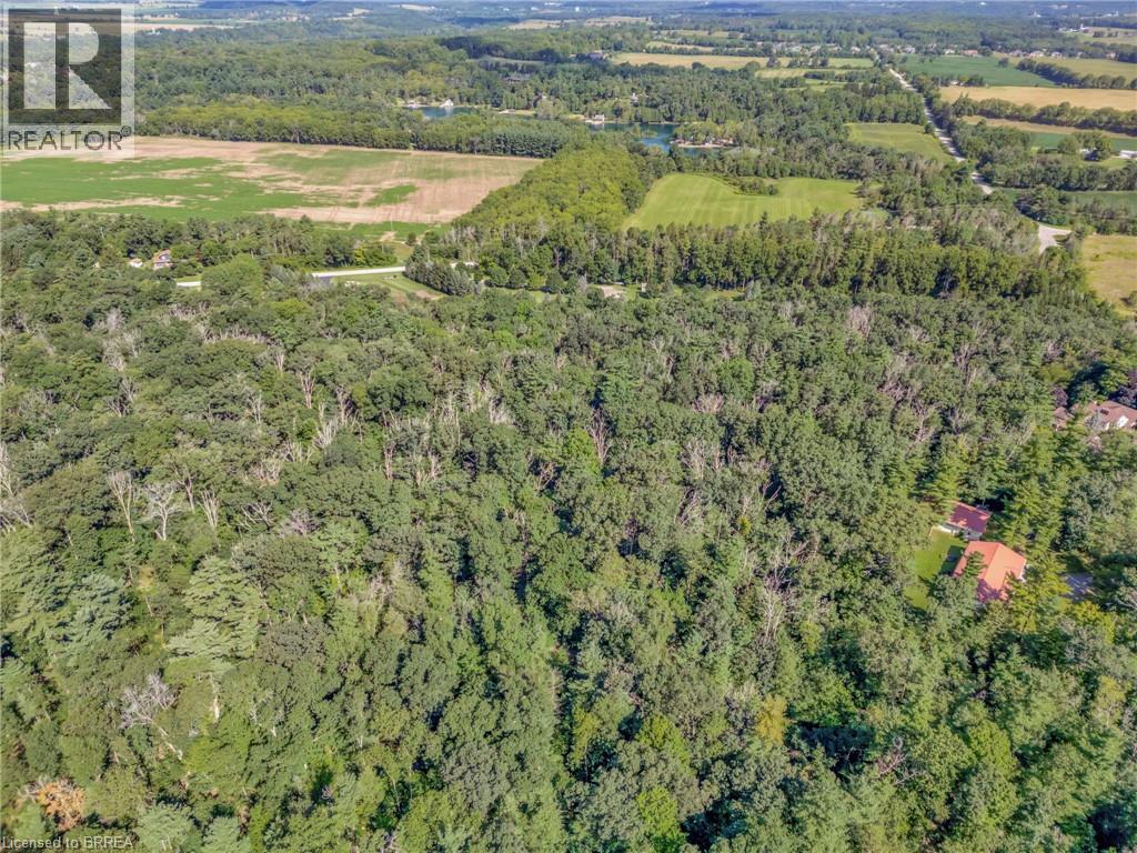 169 Clarke Road, Paris, Ontario  N3L 3E1 - Photo 9 - 40825283