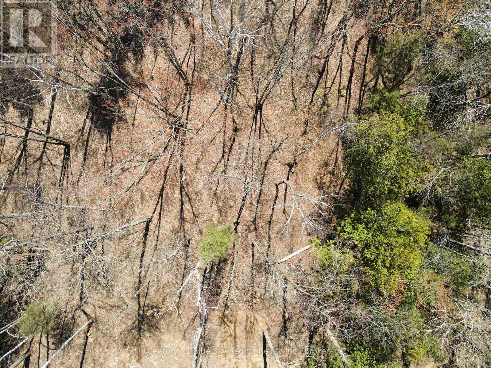 Part 3 Lot 10 Lindquist Line, Powassan, Ontario  P0H 1Z0 - Photo 11 - X13061686