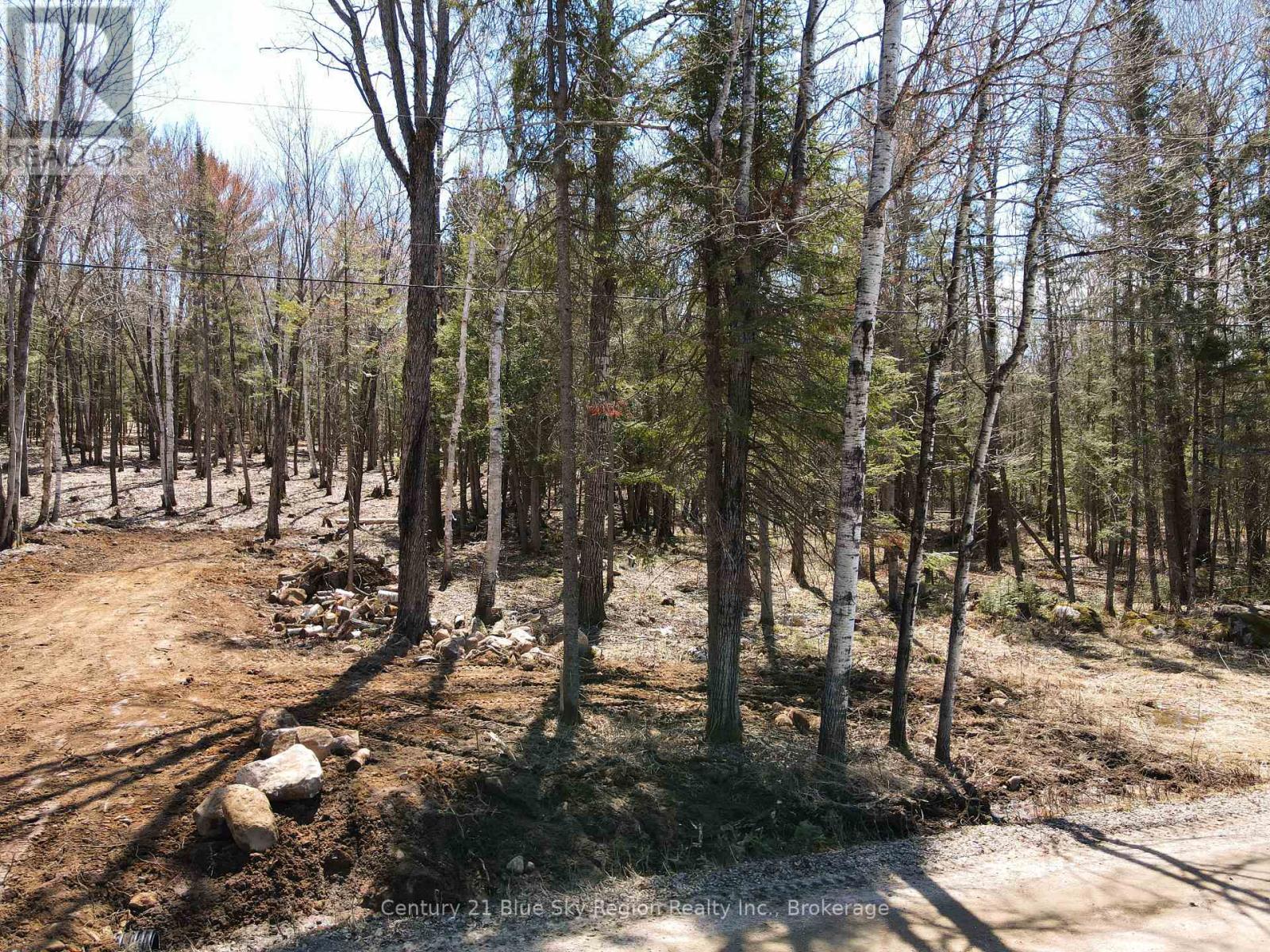 Part 3 Lot 10 Lindquist Line, Powassan, Ontario  P0H 1Z0 - Photo 22 - X13061686