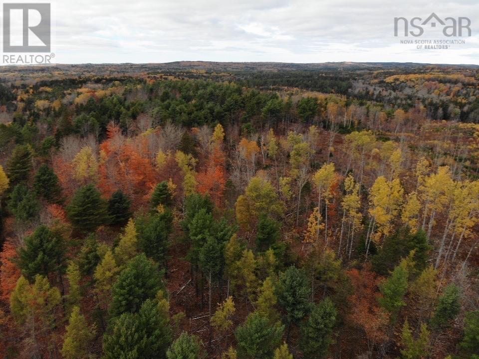 Feener Road, Farmington, Nova Scotia  B0R 1A0 - Photo 17 - 202526864