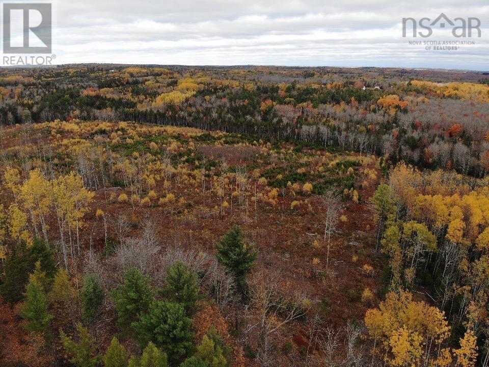 Feener Road, Farmington, Nova Scotia  B0R 1A0 - Photo 13 - 202526864