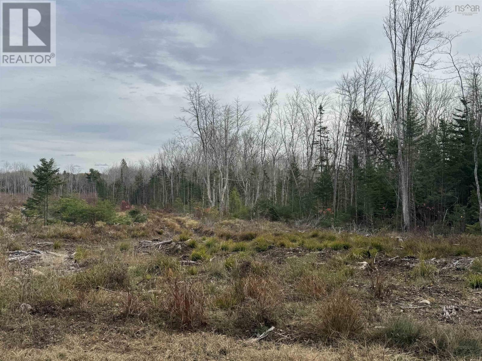 Feener Road, Farmington, Nova Scotia  B0R 1A0 - Photo 11 - 202526864