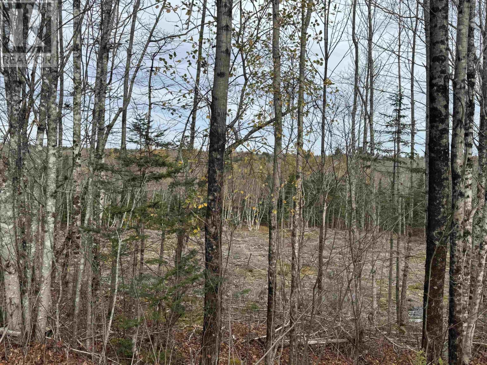 Feener Road, Farmington, Nova Scotia  B0R 1A0 - Photo 4 - 202526864