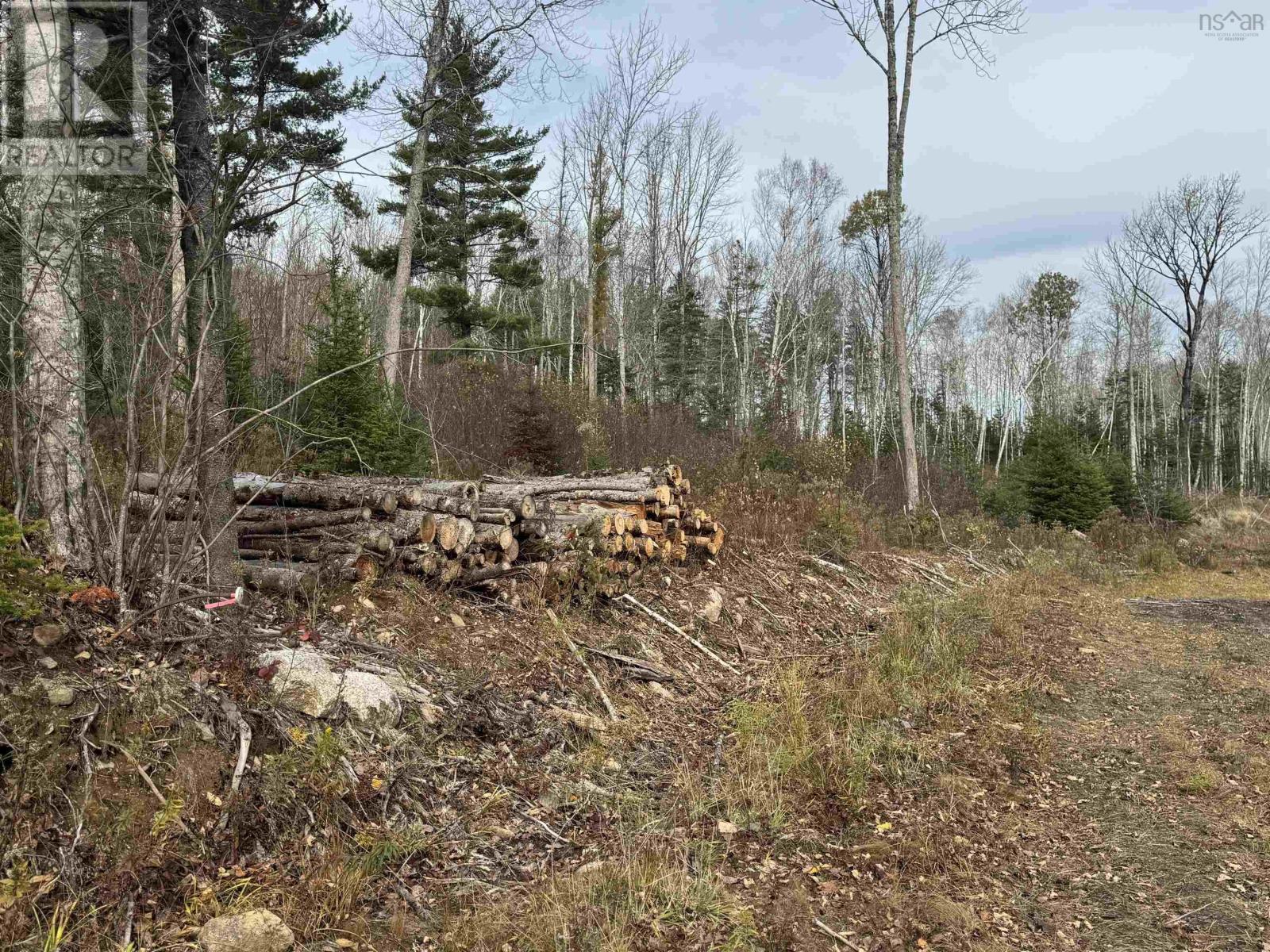 Feener Road, Farmington, Nova Scotia  B0R 1A0 - Photo 10 - 202526864