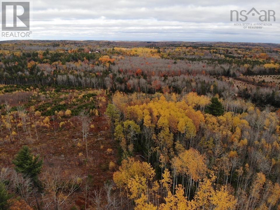 Feener Road, Farmington, Nova Scotia  B0R 1A0 - Photo 12 - 202526864