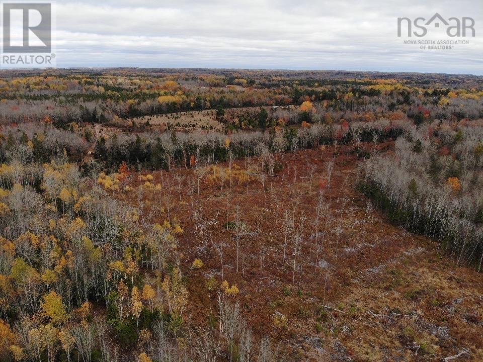 Feener Road, Farmington, Nova Scotia  B0R 1A0 - Photo 15 - 202526864