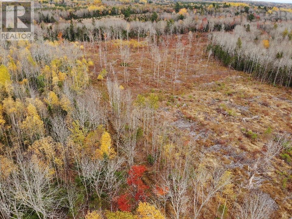 Feener Road, Farmington, Nova Scotia  B0R 1A0 - Photo 2 - 202526864