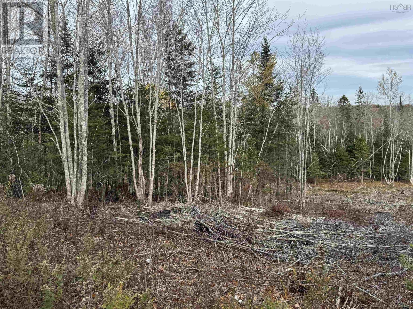 Feener Road, Farmington, Nova Scotia  B0R 1A0 - Photo 8 - 202526864