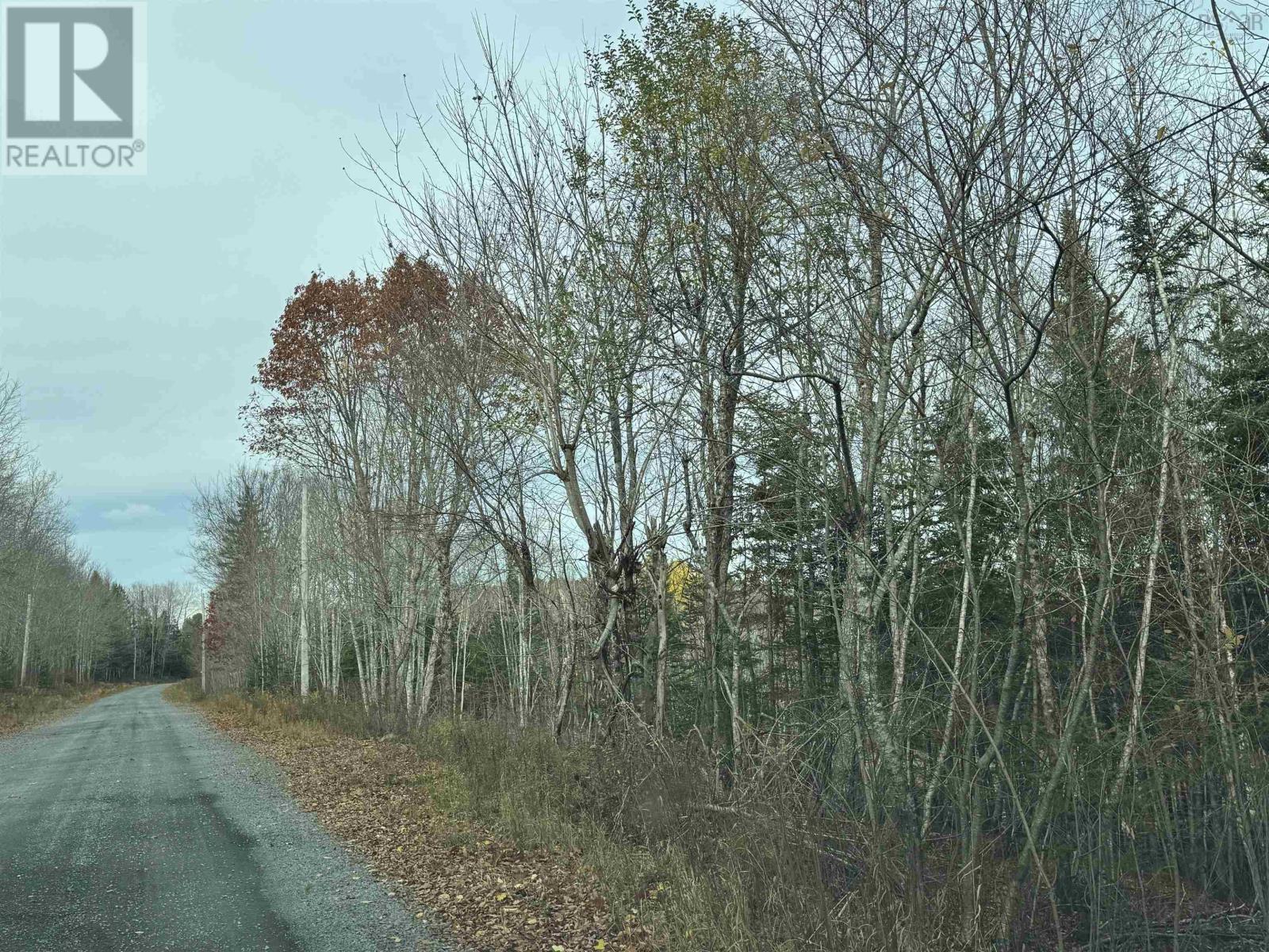 Feener Road, Farmington, Nova Scotia  B0R 1A0 - Photo 6 - 202526864