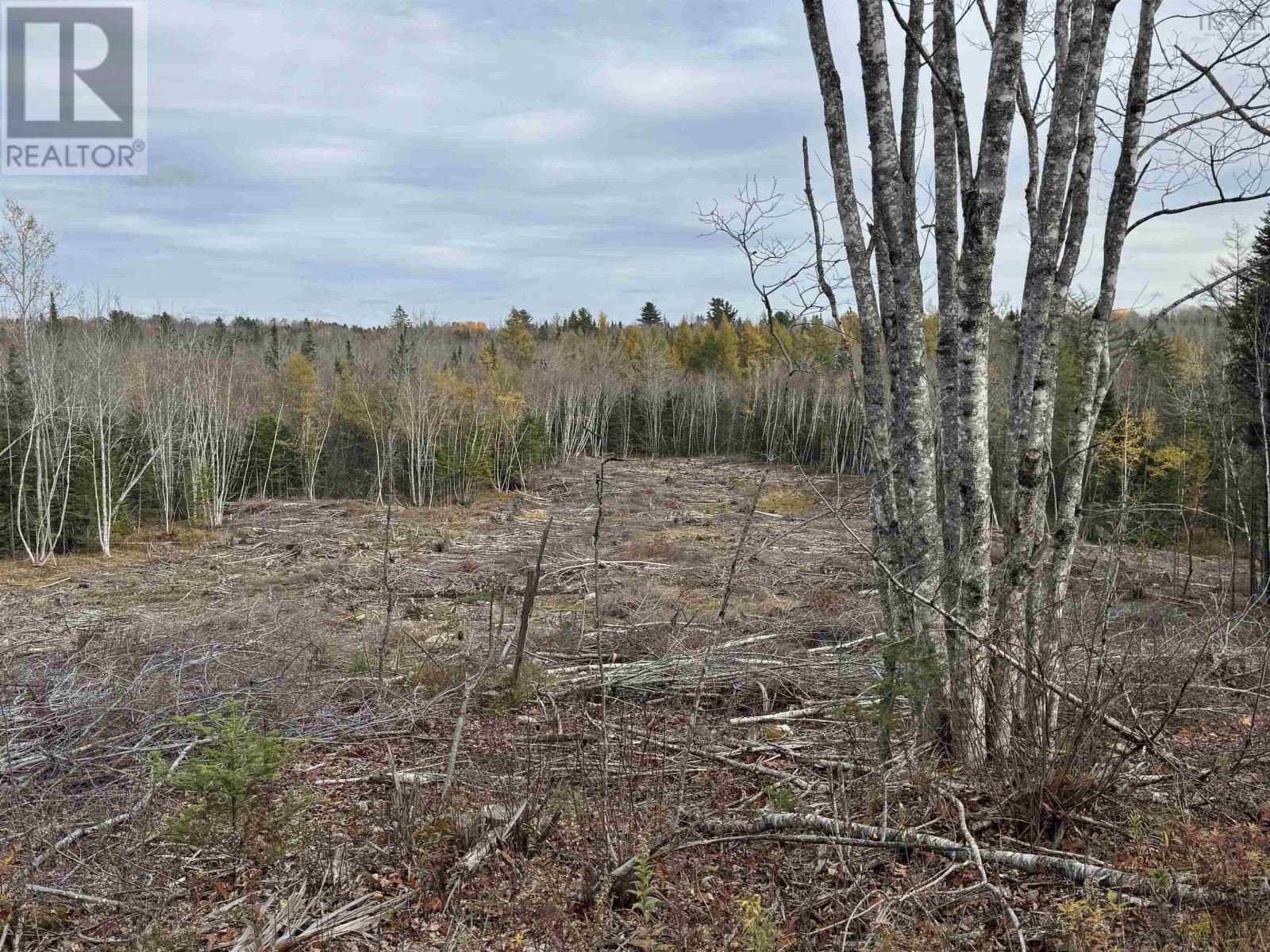 Feener Road, Farmington, Nova Scotia  B0R 1A0 - Photo 7 - 202526864