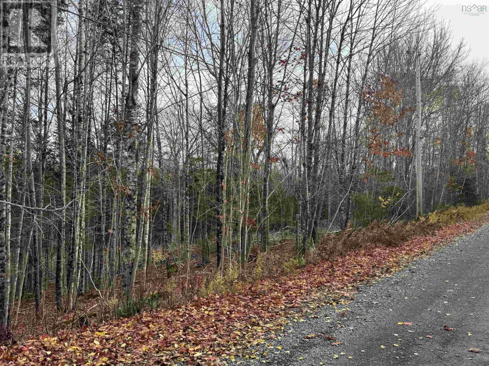 Feener Road, Farmington, Nova Scotia  B0R 1A0 - Photo 5 - 202526864