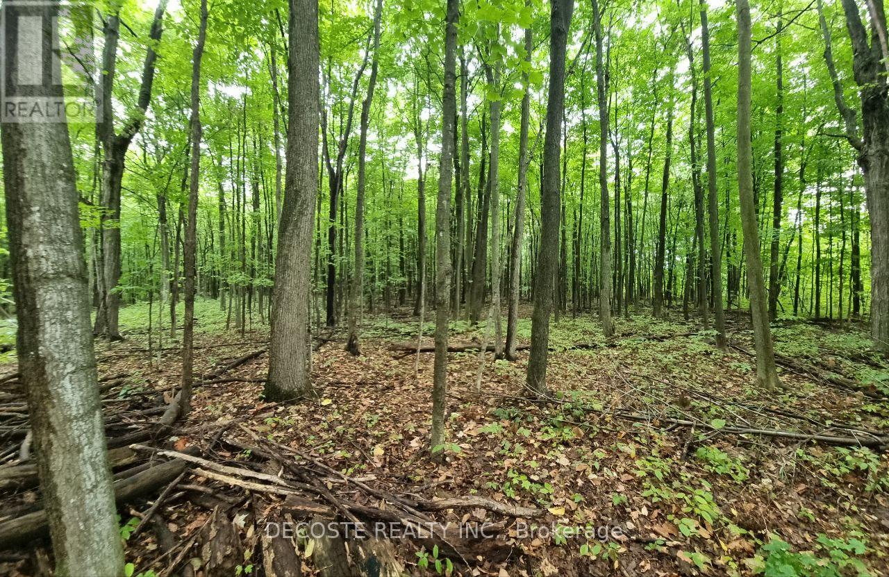 21950 Concession 10 Road, South Glengarry, Ontario  K0B 1H0 - Photo 36 - X12805536