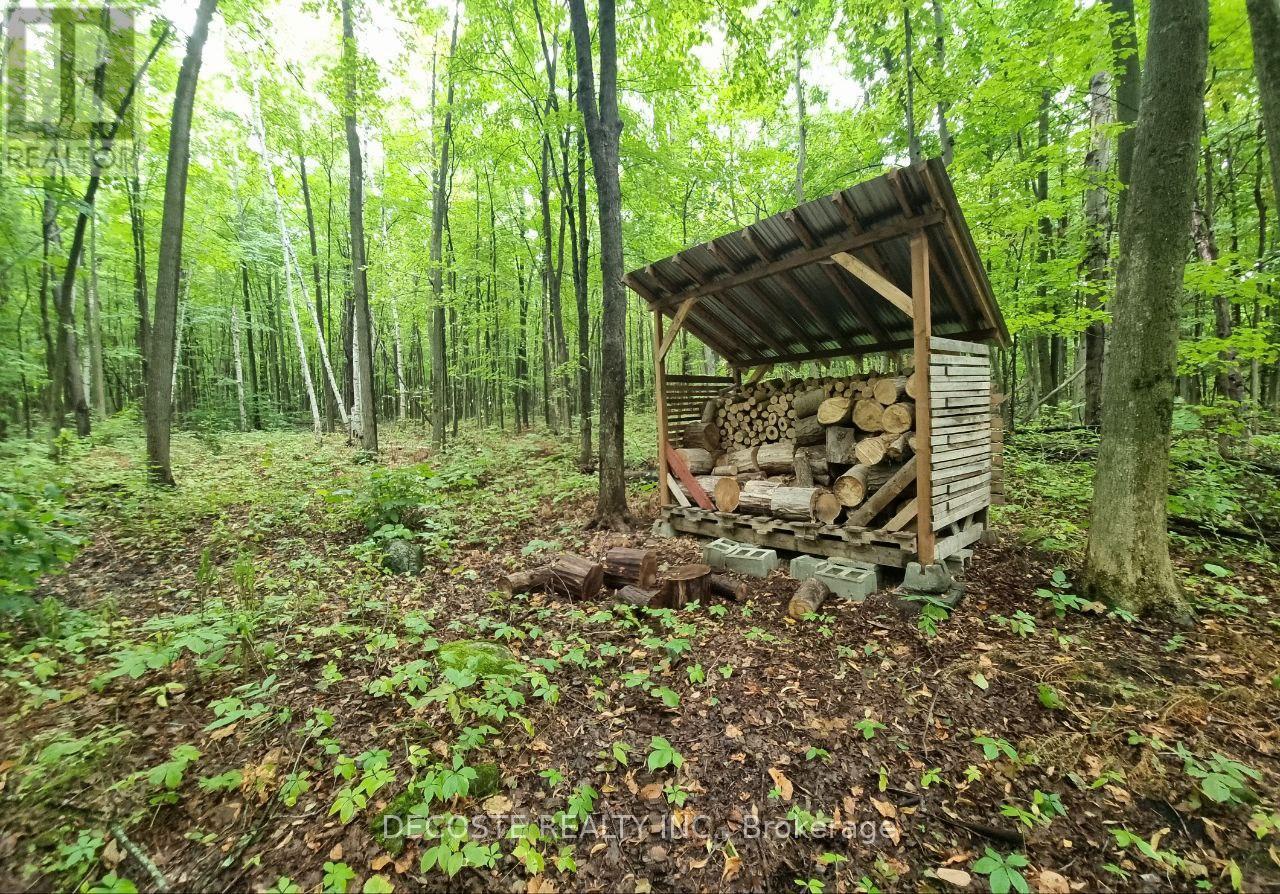 21950 Concession 10 Road, South Glengarry, Ontario  K0B 1H0 - Photo 38 - X12805536