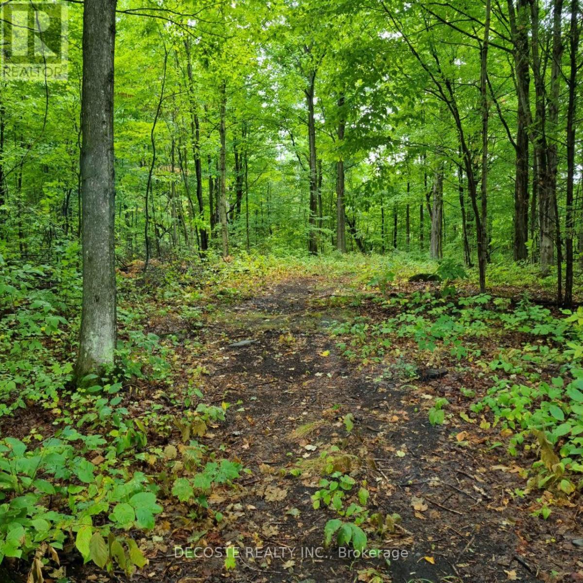 21950 Concession 10 Road, South Glengarry, Ontario  K0B 1H0 - Photo 35 - X12805536