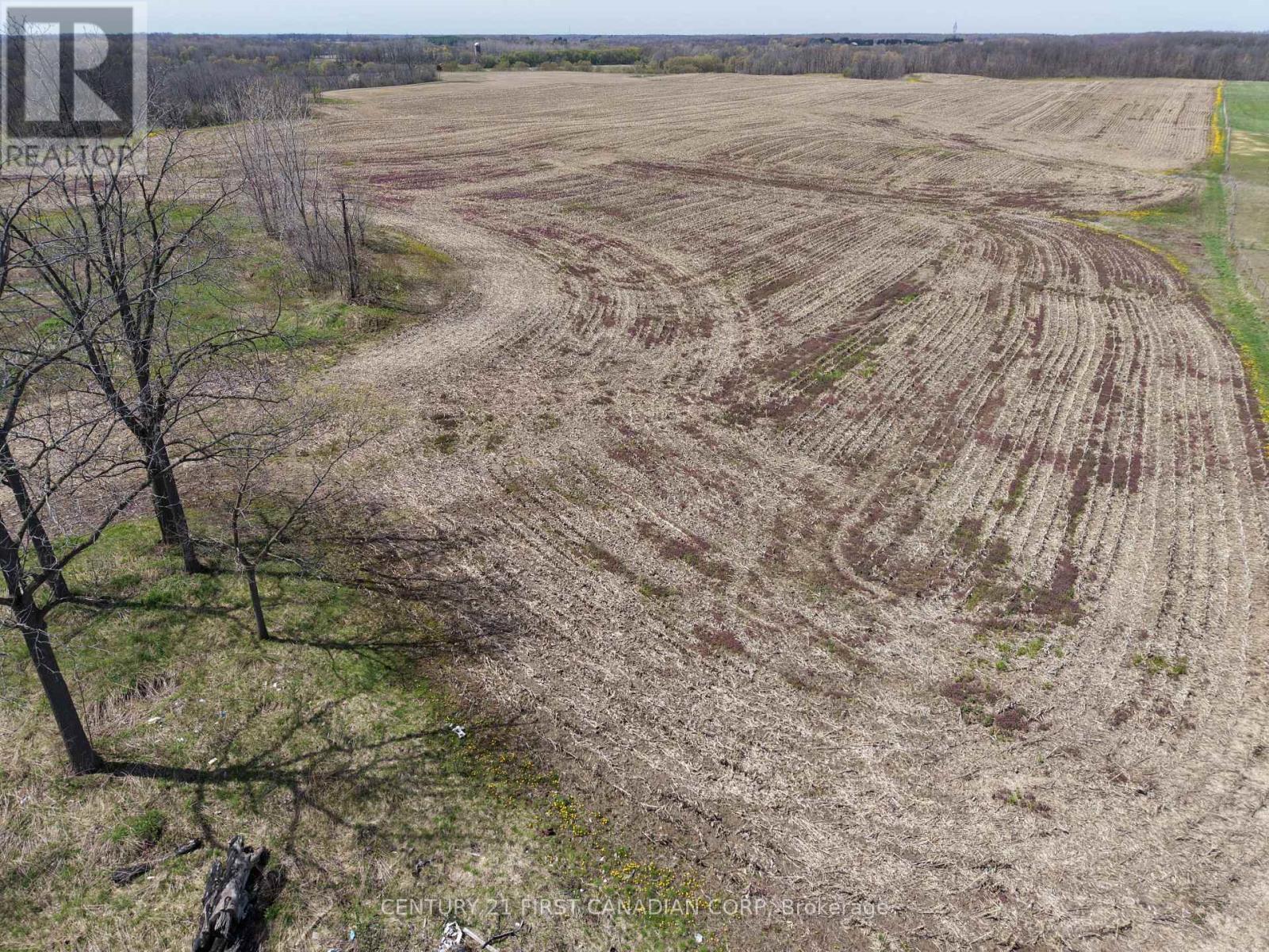 24688 Carroll Line, West Elgin, Ontario  N0L 2P0 - Photo 18 - X13061998