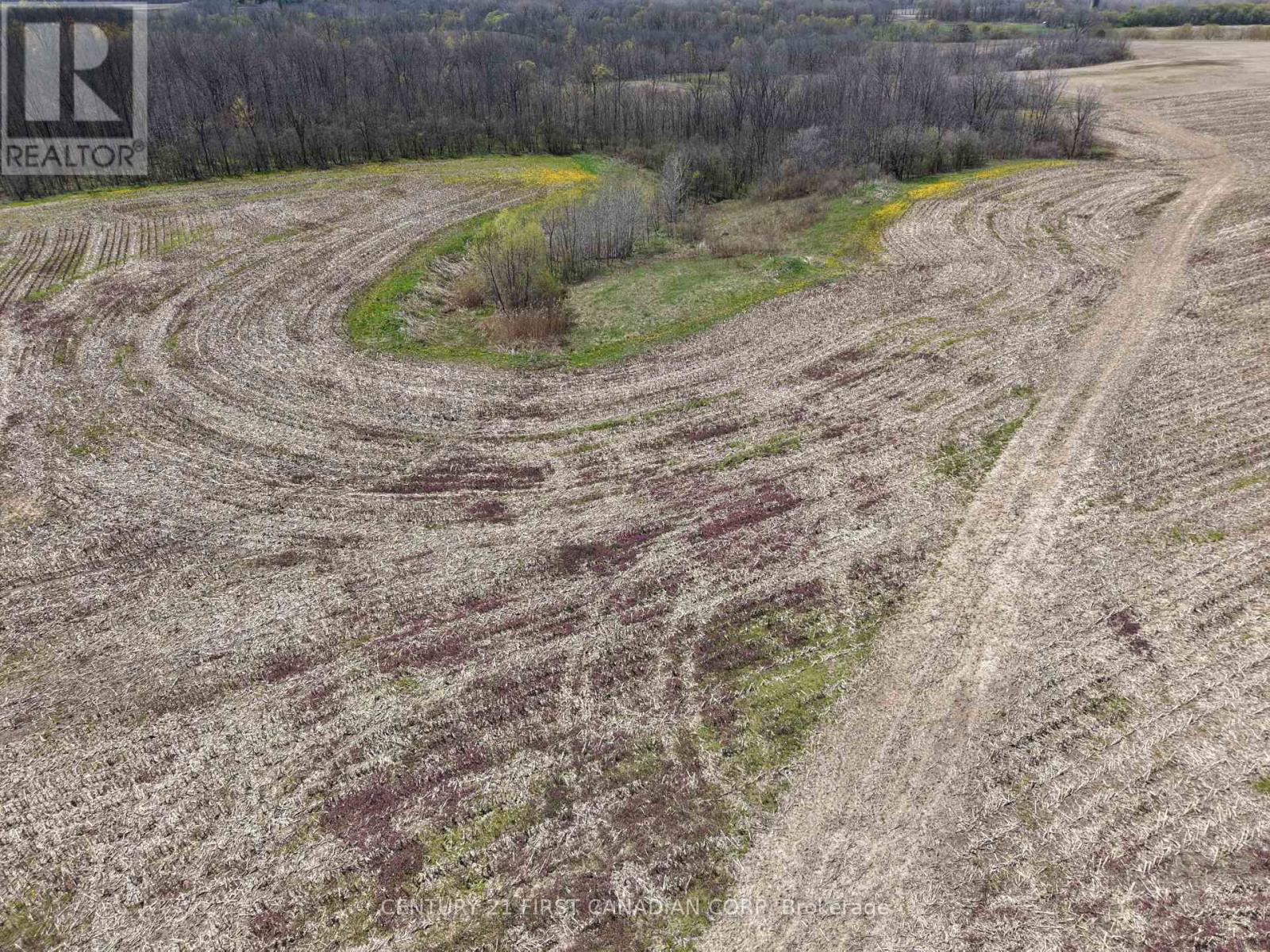 24688 Carroll Line, West Elgin, Ontario  N0L 2P0 - Photo 19 - X13061998