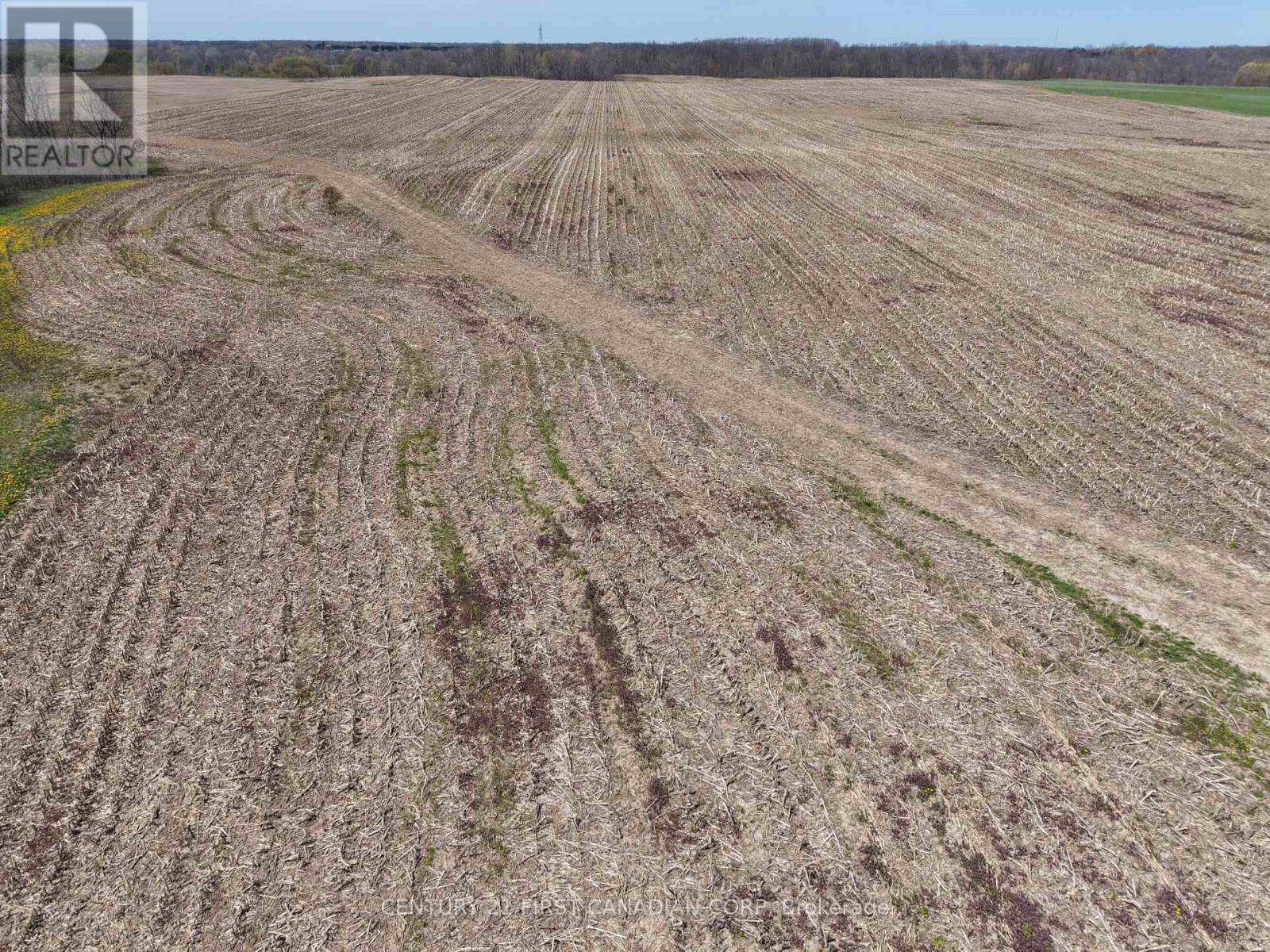 24688 Carroll Line, West Elgin, Ontario  N0L 2P0 - Photo 20 - X13061998