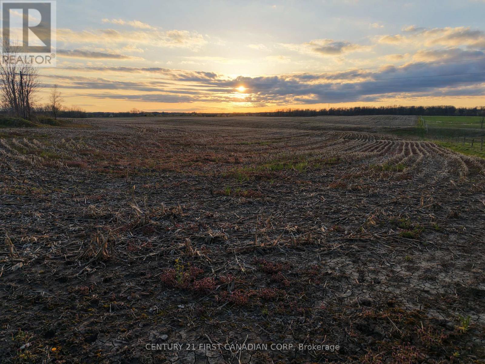 24688 Carroll Line, West Elgin, Ontario  N0L 2P0 - Photo 27 - X13061998