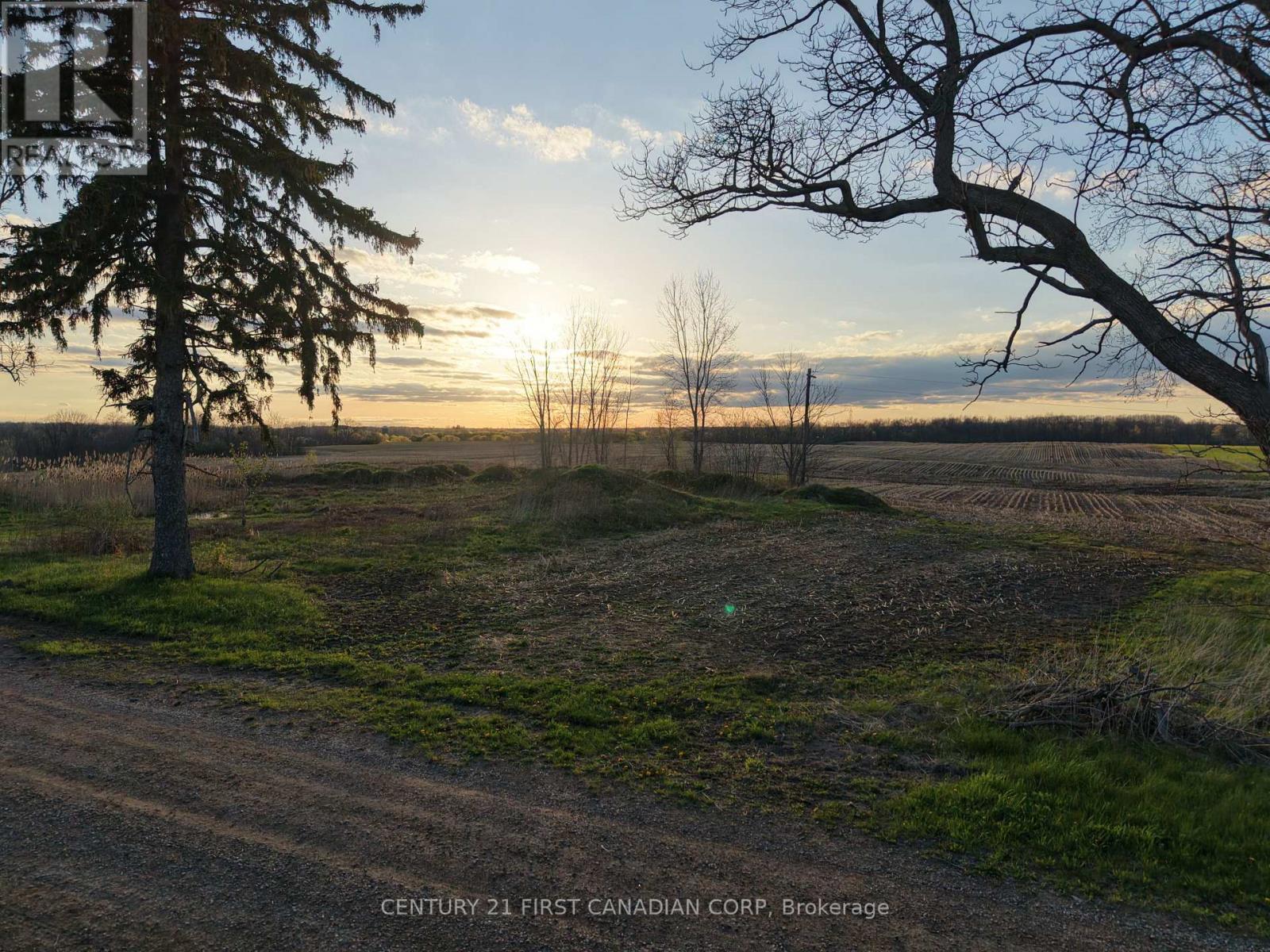 24688 Carroll Line, West Elgin, Ontario  N0L 2P0 - Photo 5 - X13061998