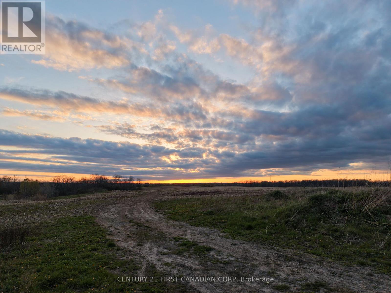 24688 Carroll Line, West Elgin, Ontario  N0L 2P0 - Photo 8 - X13061998