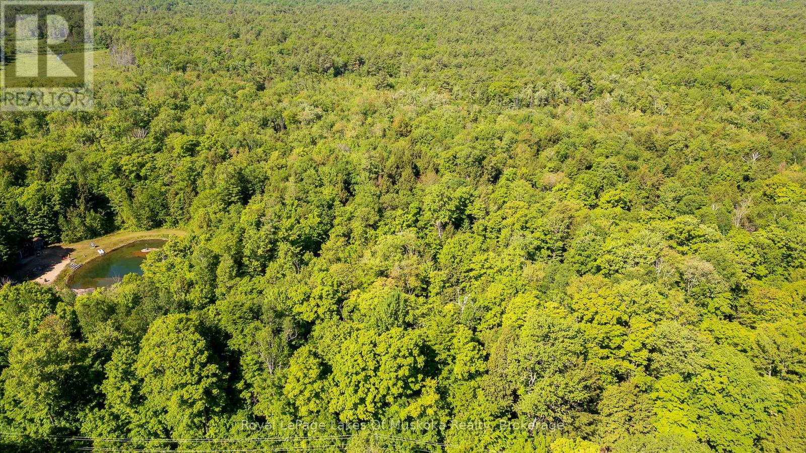 1061 South Muldrew Lake Road, Gravenhurst, Ontario  P0E 1G0 - Photo 10 - X13061878