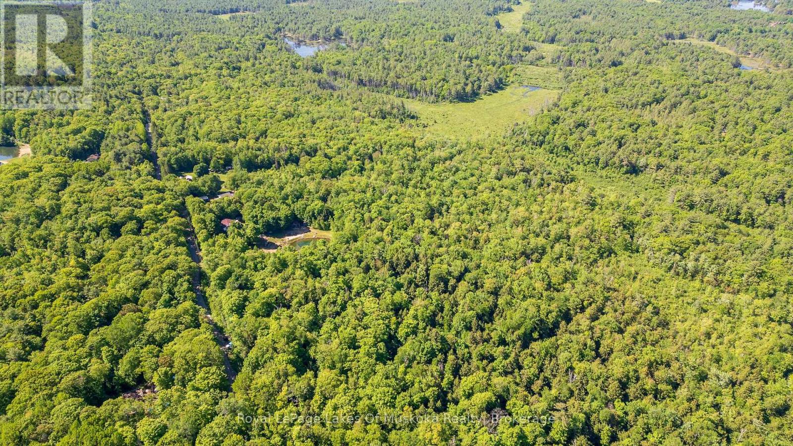 1061 South Muldrew Lake Road, Gravenhurst, Ontario  P0E 1G0 - Photo 11 - X13061878