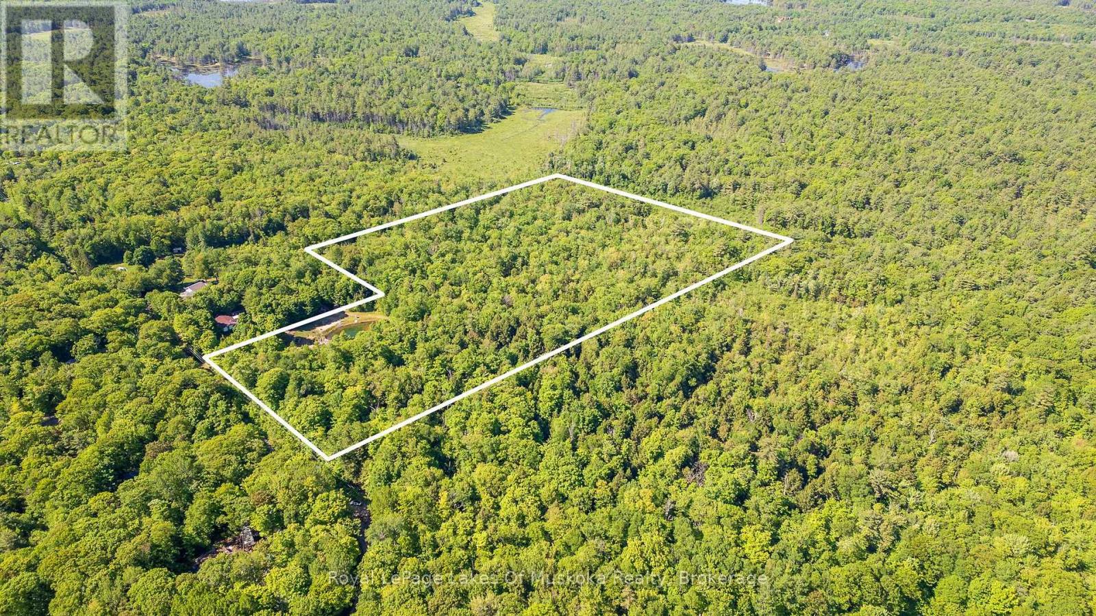 1061 South Muldrew Lake Road, Gravenhurst, Ontario  P0E 1G0 - Photo 12 - X13061878