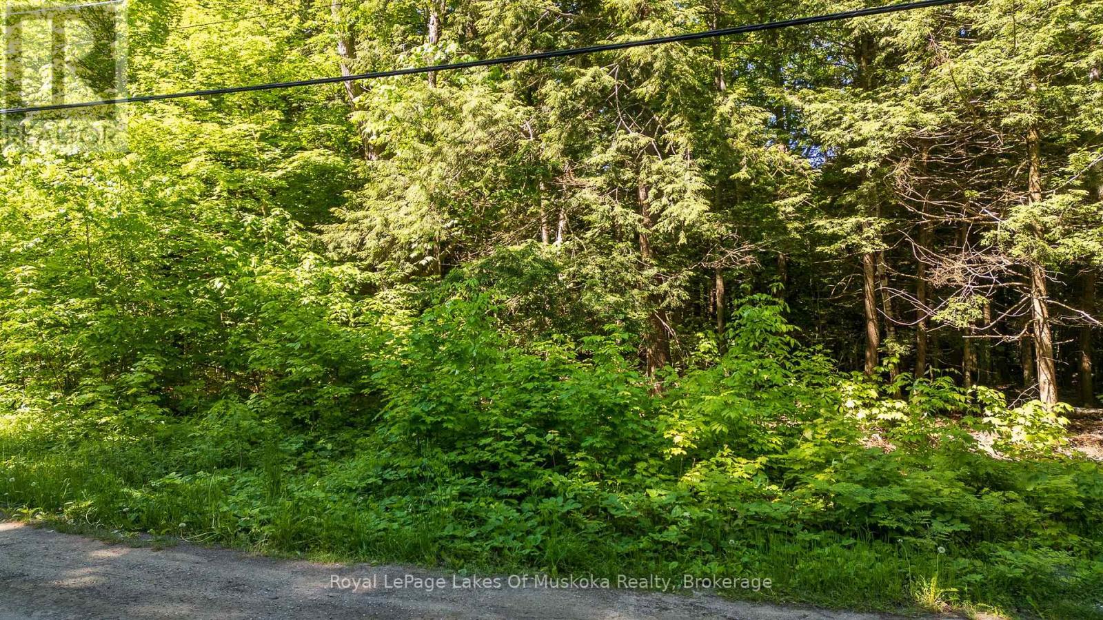 1061 South Muldrew Lake Road, Gravenhurst, Ontario  P0E 1G0 - Photo 2 - X13061878