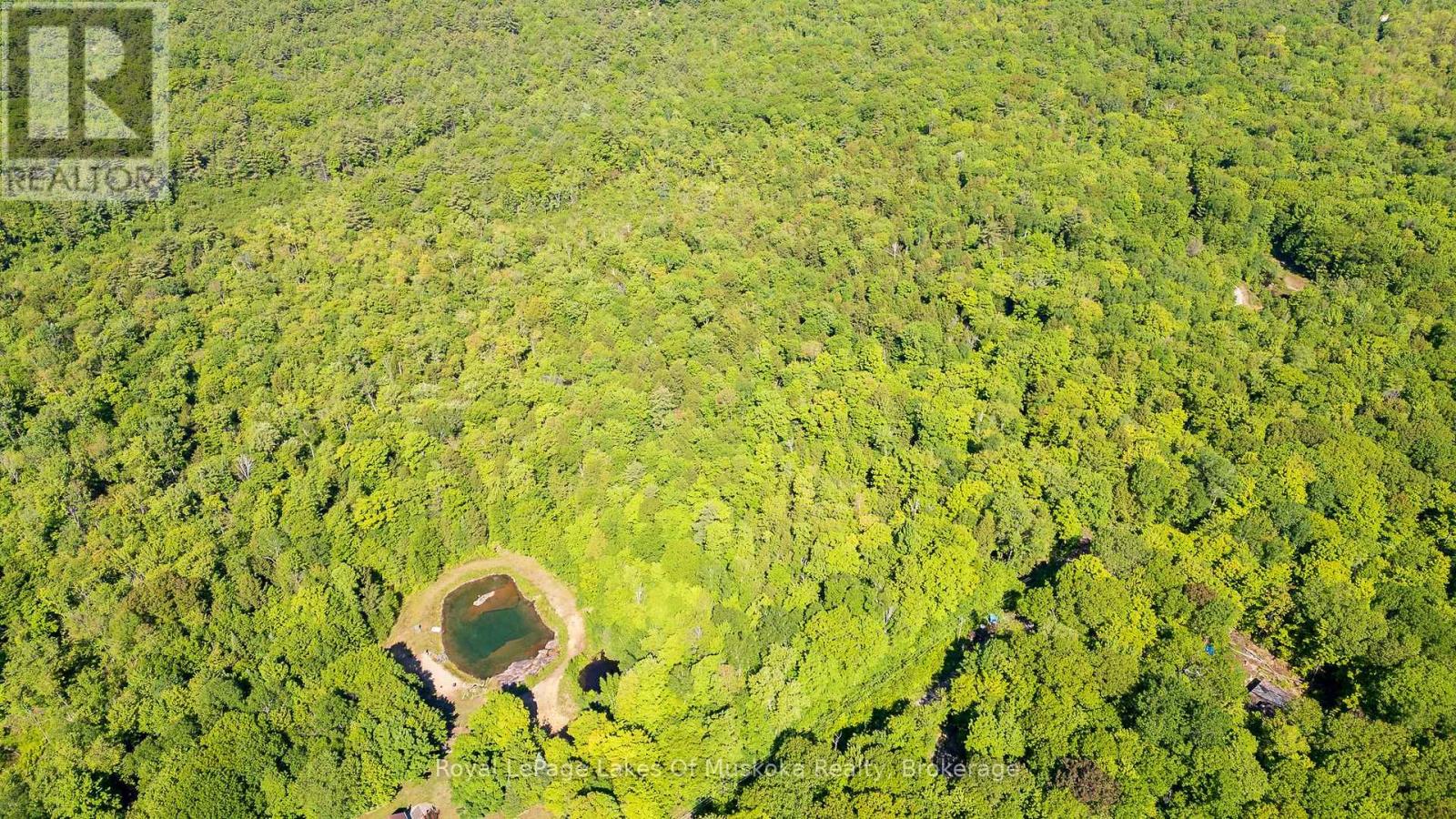 1061 South Muldrew Lake Road, Gravenhurst, Ontario  P0E 1G0 - Photo 6 - X13061878