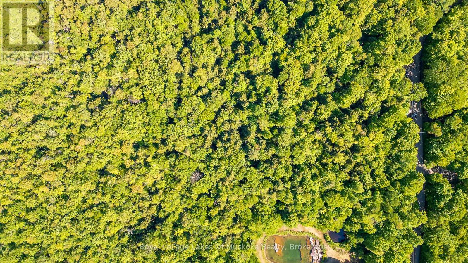 1061 South Muldrew Lake Road, Gravenhurst, Ontario  P0E 1G0 - Photo 8 - X13061878