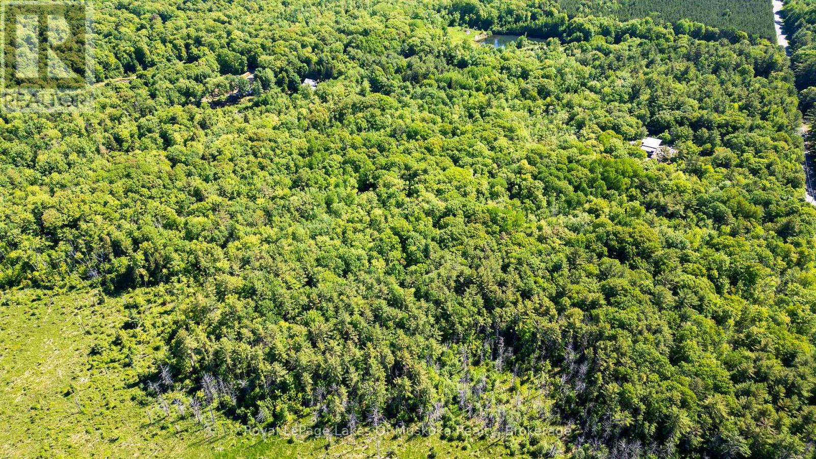 0 Southwood Road, Gravenhurst (Wood (Gravenhurst)), Ontario  P0E 1G0 - Photo 13 - X13061880