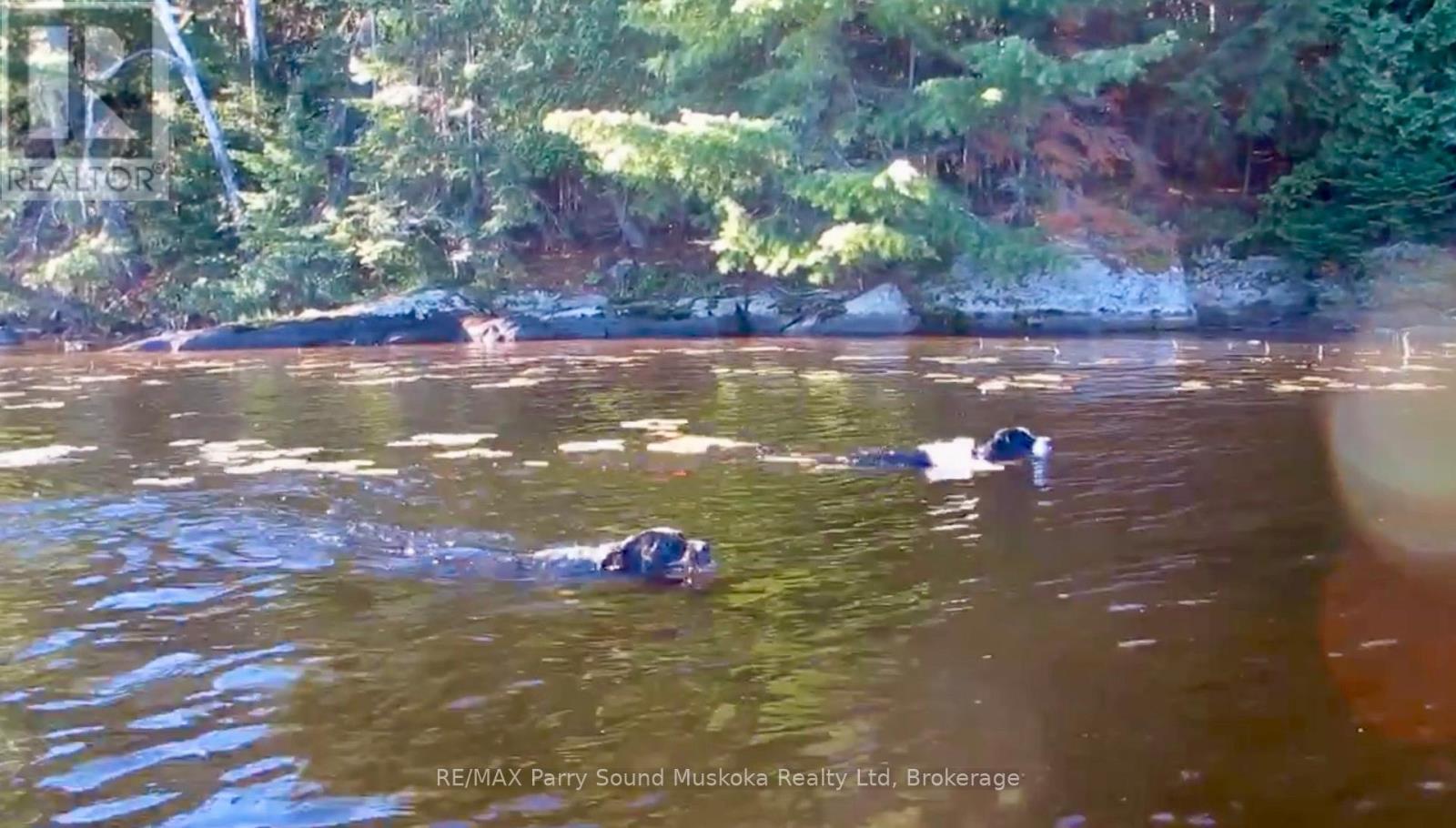Part 2 42r21243 Edwards Island, Parry Sound Remote Area, Ontario  P0H 1Y0 - Photo 6 - X13061912