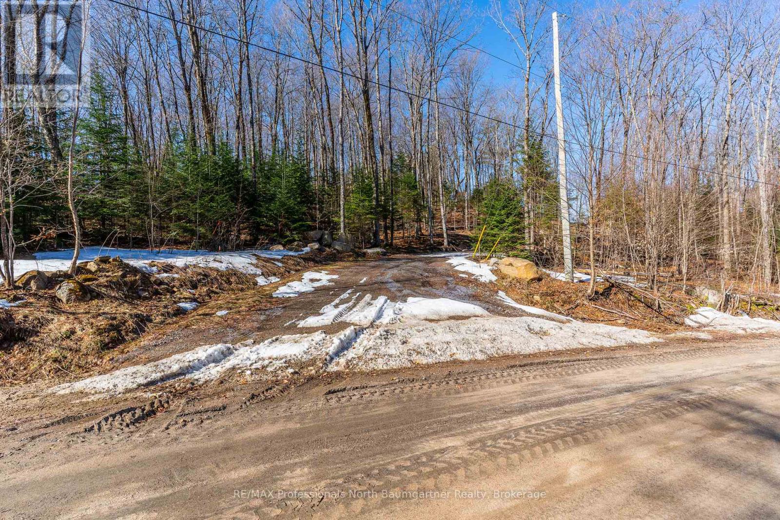 0 Boughner Road, Dysart Et Al, Ontario  K0M 1S0 - Photo 4 - X13061996