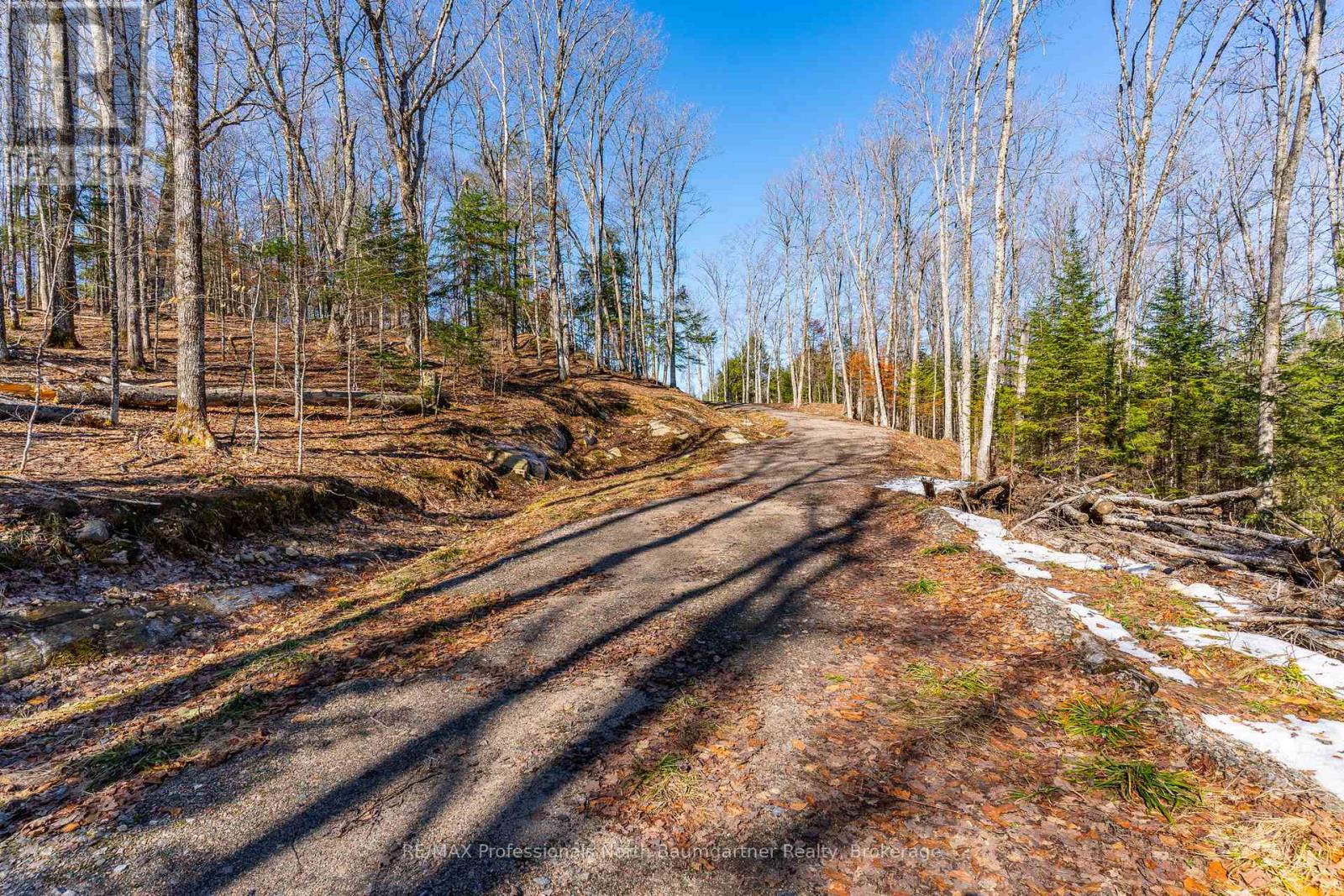 0 Boughner Road, Dysart Et Al, Ontario  K0M 1S0 - Photo 5 - X13061996