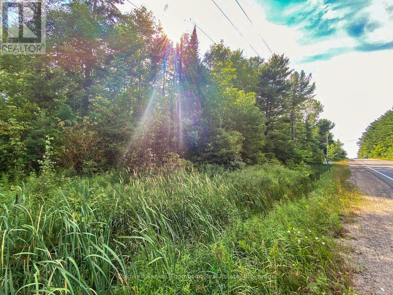 2161 Brunel Road, Huntsville, Ontario  P1H 2J3 - Photo 16 - X13062054