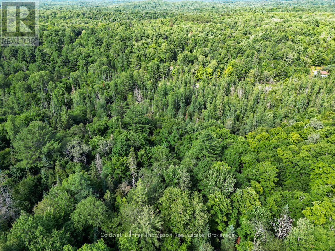 2161 Brunel Road, Huntsville, Ontario  P1H 2J3 - Photo 4 - X13062054