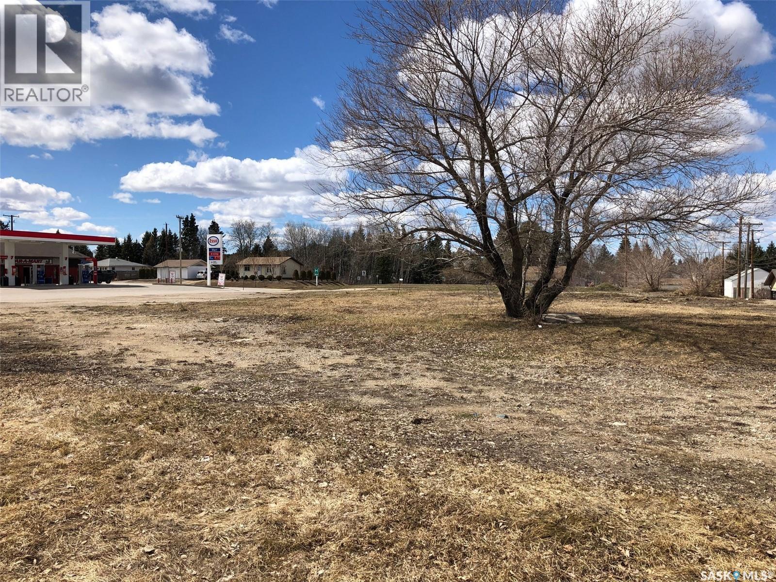 603 - 605 Nipawin Road E, Nipawin, Saskatchewan  S0E 1E0 - Photo 15 - SK034171
