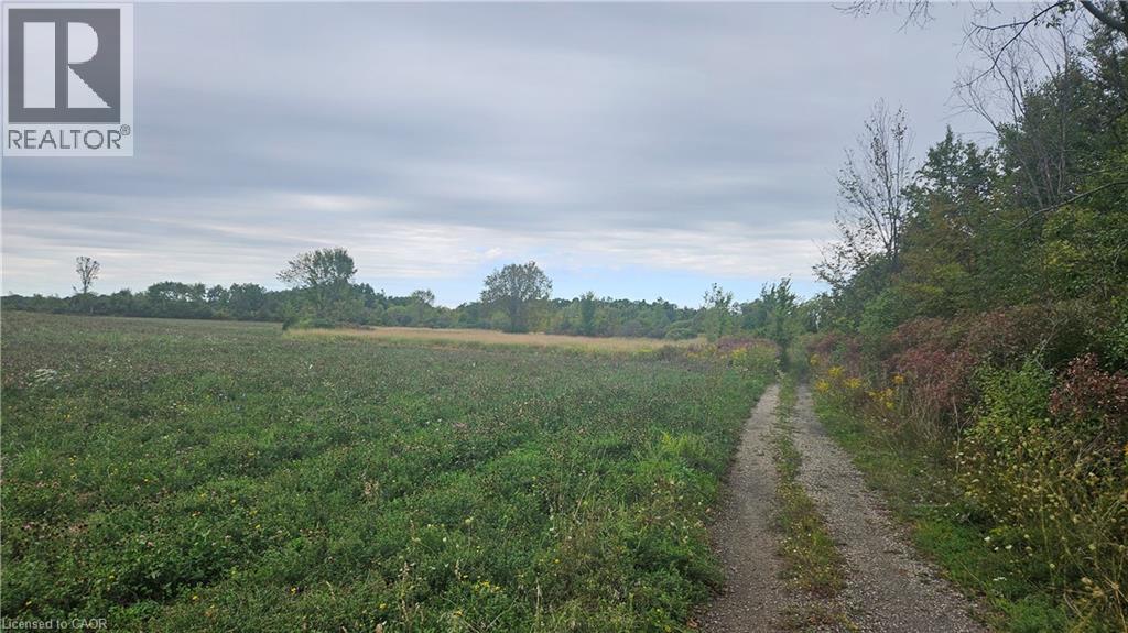 Pt S 1/2 Lt 7 Junction Road, Cayuga, Ontario  N0A 1C0 - Photo 3 - 40825707