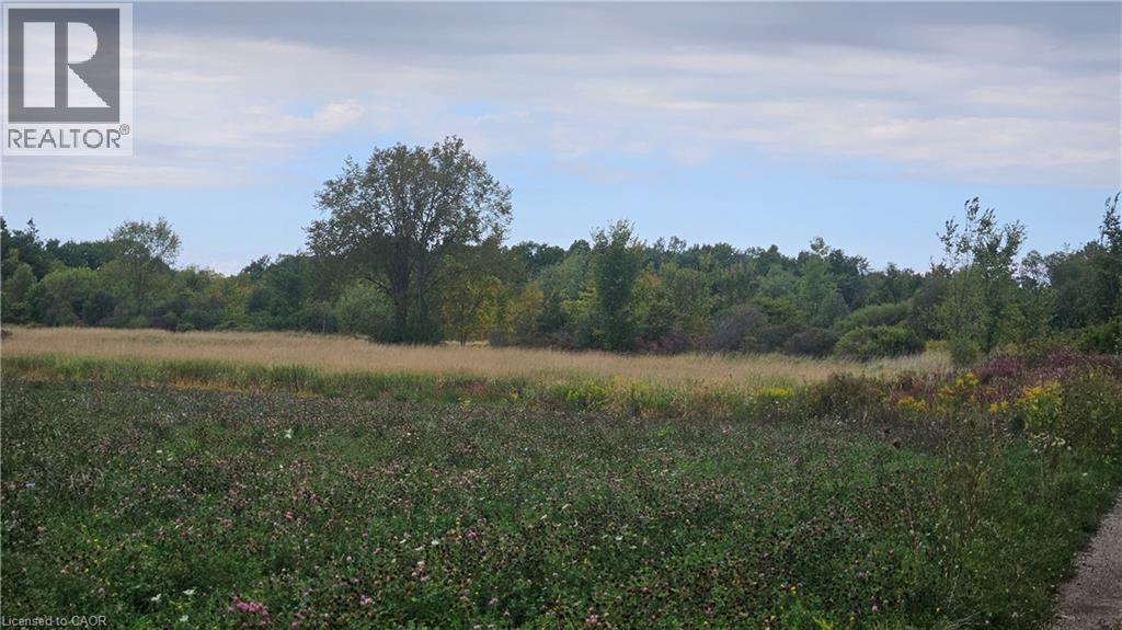 Pt S 1/2 Lt 7 Junction Road, Cayuga, Ontario  N0A 1C0 - Photo 4 - 40825707