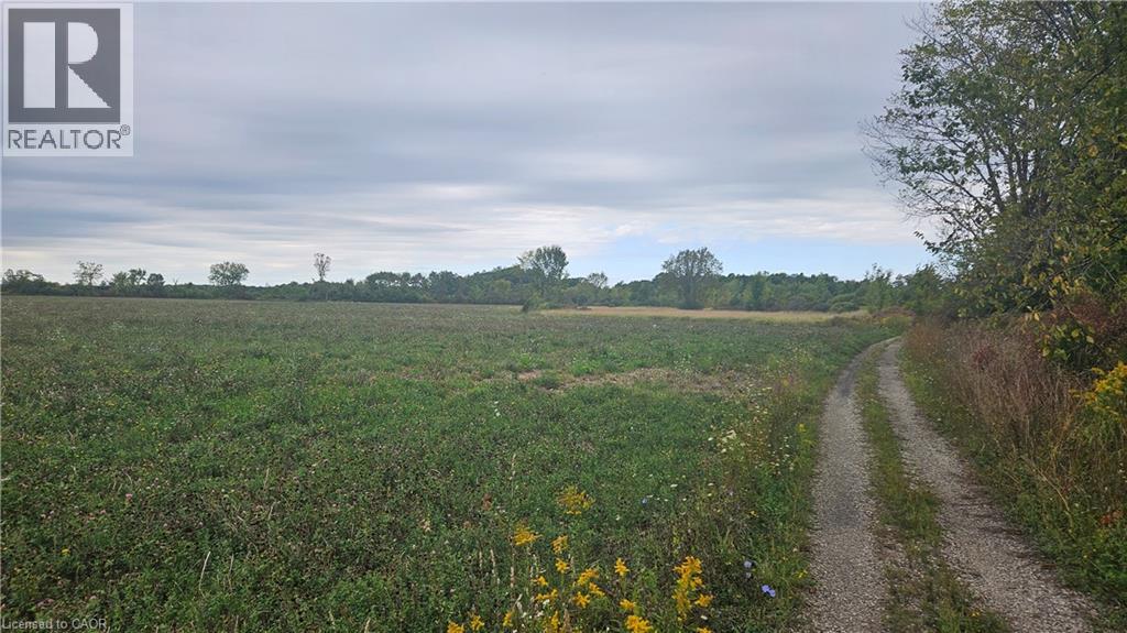Pt S 1/2 Lt 7 Junction Road, Cayuga, Ontario  N0A 1C0 - Photo 5 - 40825707